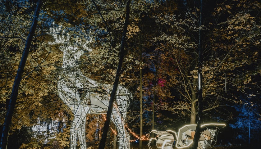 Bajkowy świat czeka na dzieci i dorosłych w Zamku Topacz pod Wrocławiem. Lumina Park zaprasza pod koniec października