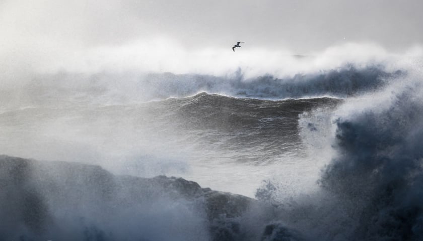 "Potęga żywiołów". Zdjęcie Mateusza nagrodzone w konkursie Wildlife Photographer of the Year