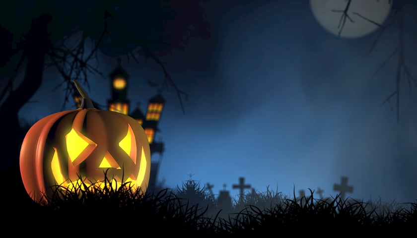 <p>Grafika z dynią na Halloween&nbsp;</p>