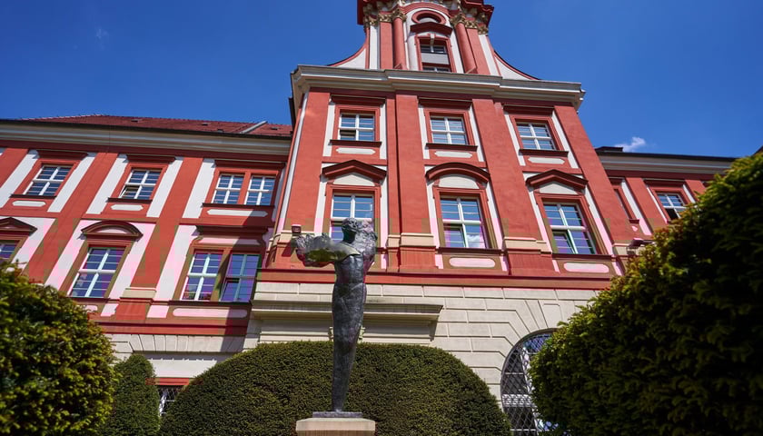Ogród Ossolineum z rzeźbą Angelusa Silesiusa