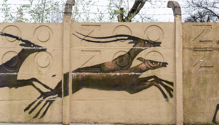 Mural autorstwa Jerzego Wołoszynowicza na ogrodzeniu zoo we Wrocławiu