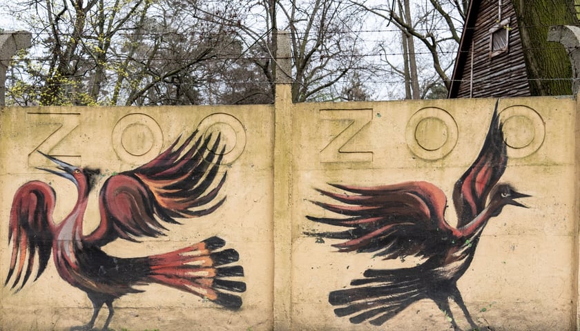 Mural autorstwa Jerzego Wołoszynowicza na ogrodzeniu zoo we Wrocławiu