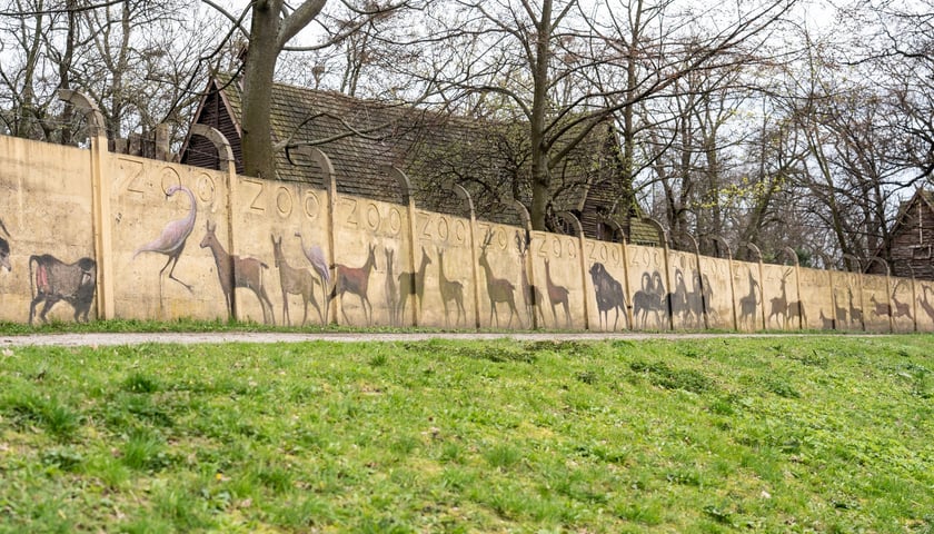 Mural autorstwa Jerzego Wołoszynowicza na ogrodzeniu zoo we Wrocławiu