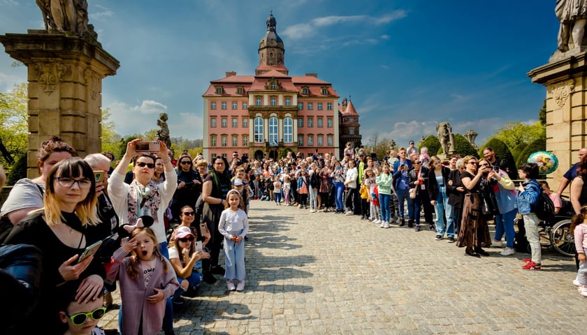 Festiwal Kwiat&oacute;w i Sztuki w Zamku Książ od 1 do 5 maja 2024