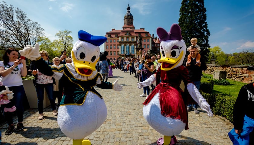 Festiwal Kwiat&oacute;w i Sztuki w Zamku Książ od 1 do 5 maja 2024