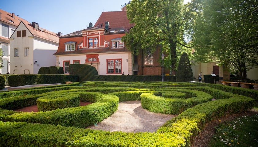 Tajemnicze kieszonkowe ogrody Wrocławia. Nie wszyscy o nich wiedzą [ZDJĘCIA]