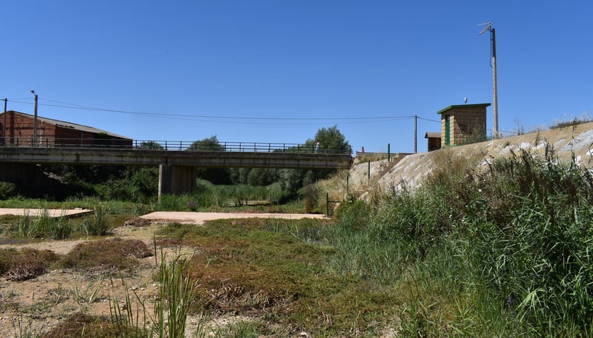 <p>Rio Odra. Pedrosa del Principe</p>