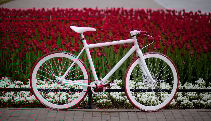 Festiwal Wroclove Design 2014