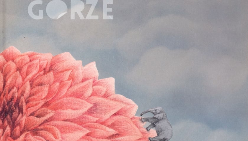 Okładka książki „Na wysokiej górze” 