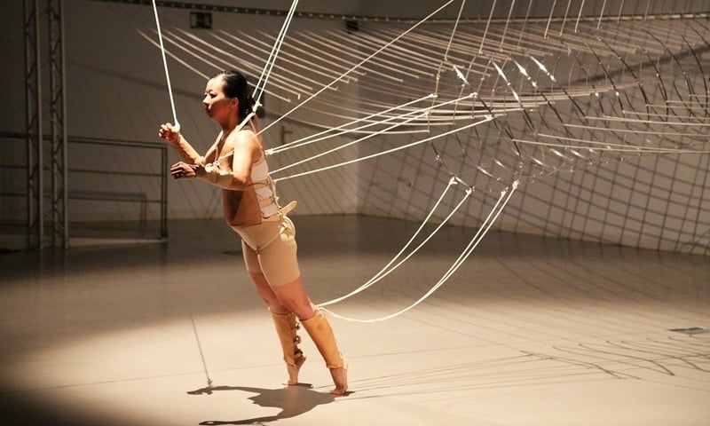 Biennale WRO 2015. W tym roku z rekordową publicznością [PROGRAM]