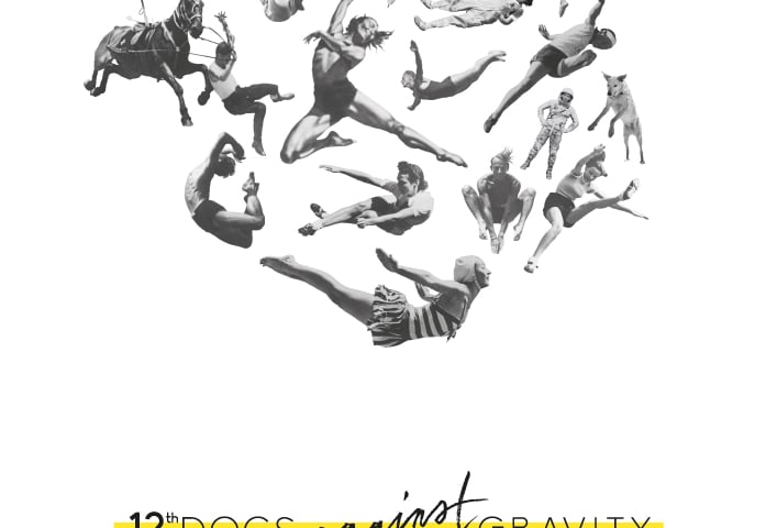 12. Docs Against Gravity Film Festival 2015, plakat