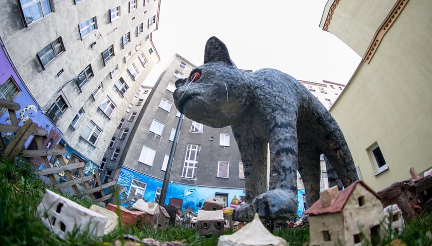 Niezwykłe podwów przy ul. Roosevelta 