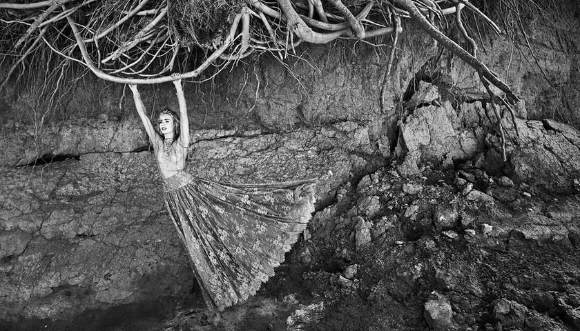 Artist Proofs by Szymon Brodziak