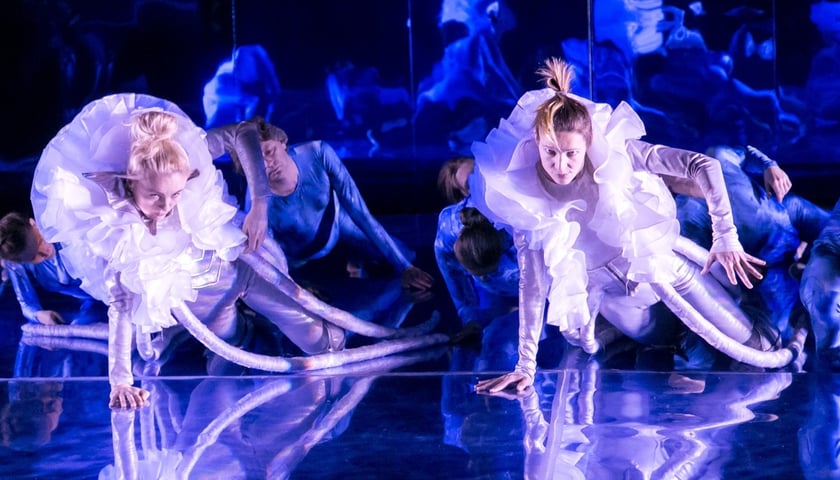 Hydrokosmos – Mała Syrenka w Pantomimie [ZDJĘCIA, WIDEO]