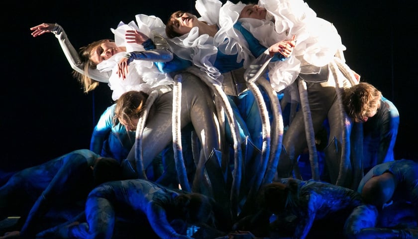 Podwodne piękno – po premierze Wrocławskiego Teatru Pantomimy