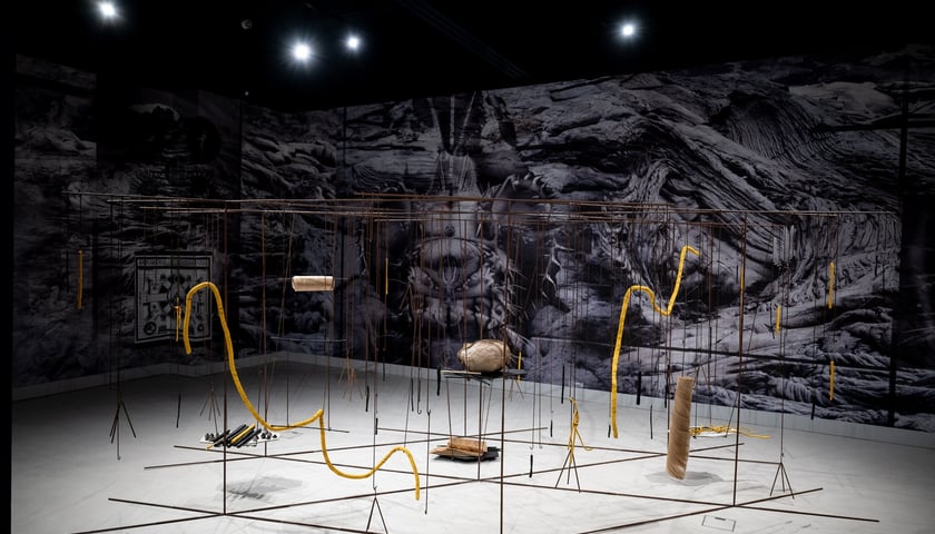 Wystawa &bdquo;Neurobiologia miłości&rdquo; w Krupa Art Foundation