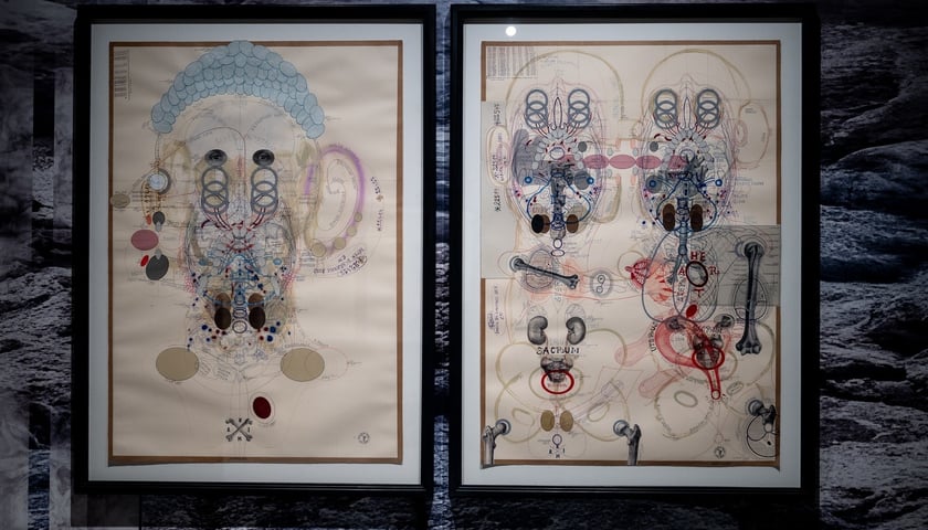 Wystawa &bdquo;Neurobiologia miłości&rdquo; w Krupa Art Foundation