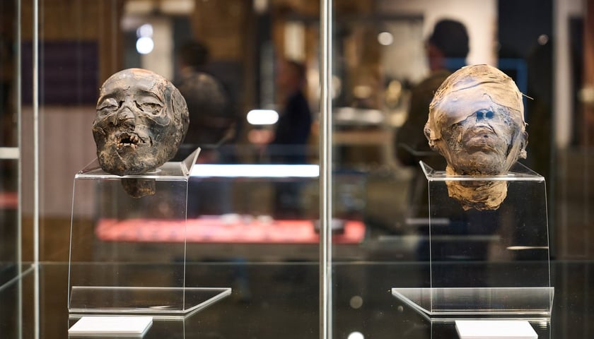 Wystawa "Kresy Europy. Ze skarbca Lwowskiego Muzeum Historycznego" w Arsenale we Wrocławiu