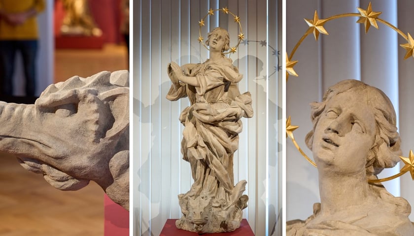 Na trzech zdjęciach figura Immaculaty z kolumny maryjnej, jaka niegdyś stała przy pl. Nankiera, do obejrzenia w Muzeum Narodowym we Wrocławiu