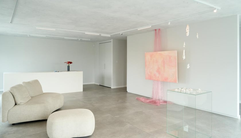 Wystawa Anny Marii Zuzeli w Krupa Gallery do 12 lipca