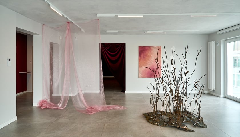 Wystawa Anny Marii Zuzeli w Krupa Gallery do 12 lipca