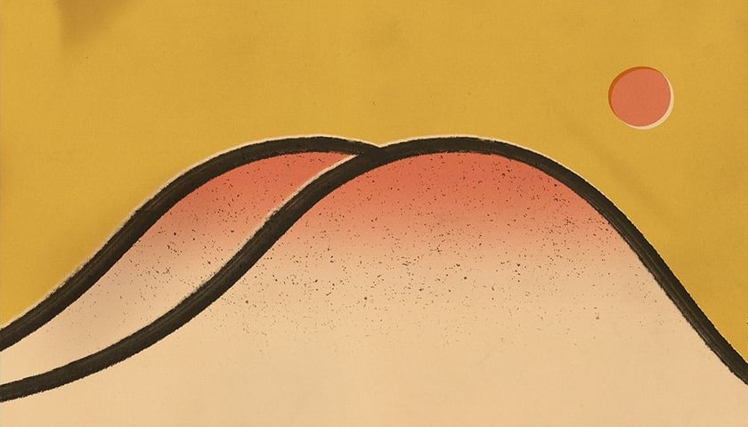 <p>Projekty Jakuba Kamińskiego&nbsp;</p>