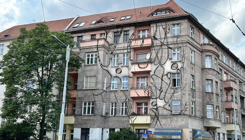 Neuroornament Anity Sieradzkiej z ASP Wrocław