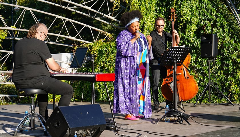 <p>Koncert z cyklu Muzyczne Parki Wrocławia - Sępolno, Emose Uhunmwangho, 24 sierpnia</p>