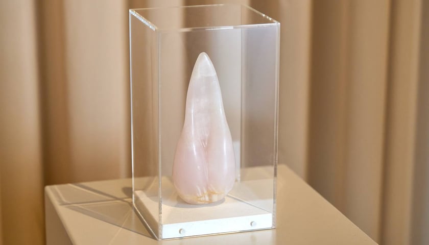 <p>Wystawa &bdquo;Ciało. Rozkosz i b&oacute;l&rdquo; w Krupa Art Foundation potrwa do 18 stycznia 2026</p>