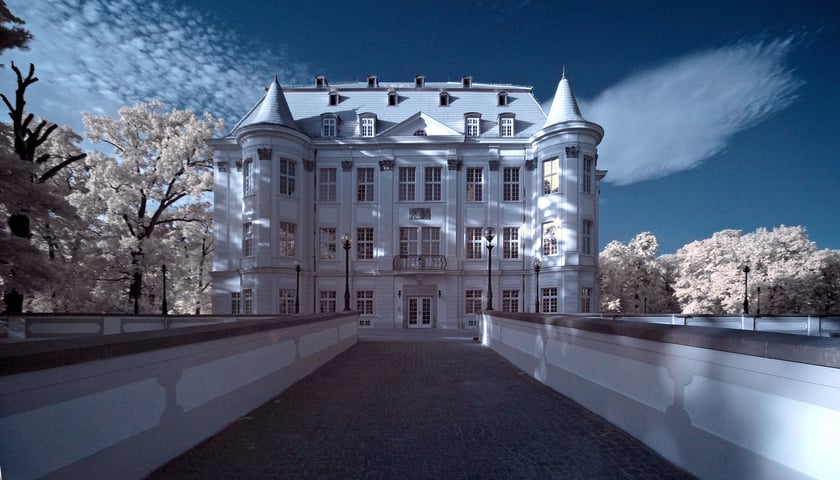 <p>Pałac (zamek) w Leśnicy</p>