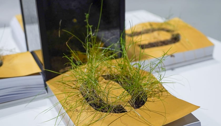 <p class="MsoNormal">Og&oacute;lnopolski Przegląd Sztuki Książki w Pawilonie Czterech Kopuł. Wrocław, 15.11.2025</p>