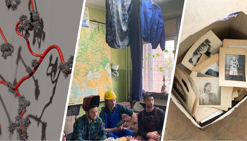 Na zdjęciu z lewej instalacja „Uncanny” z wystawy „Hiperobiekty” Anny Bujak, na zdjęciu w środku Pracownia Hutmen, na zdjęciu z prawej „Helene” z wystawy „Atlas splątanych opowieści” Liliany Zeic i Irène Mélix