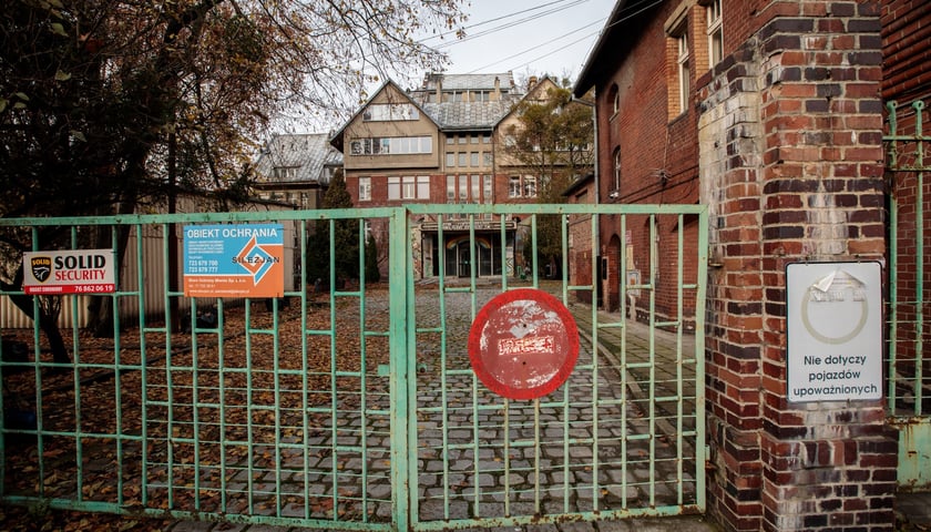 Kliniki na Bujwida - miejsce Survivalu 2026