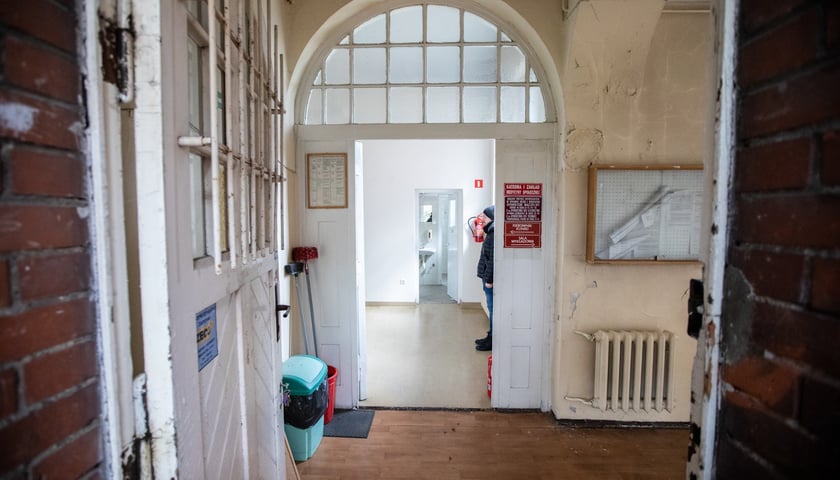 Kliniki na Bujwida - miejsce Survivalu 2026