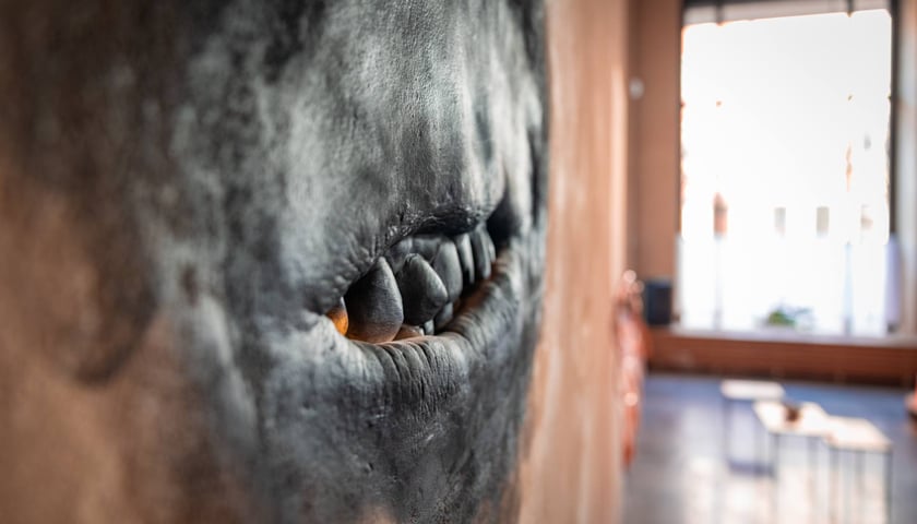 W Żyjni przed otwarciem, 22 stycznia 2026