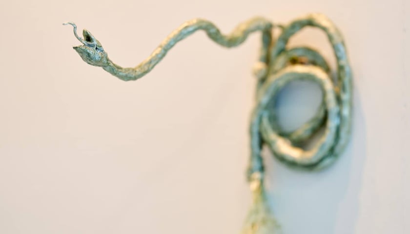 Centrum Nowy Pafawag zyskało nową przestrzeń na galerię sztuki &ndash; wystawa &bdquo;Kr&oacute;lewnę myszka zjadła&rdquo; z pracami Kasi Banasiak