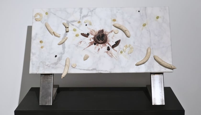 <p class="MsoNormal">Owoce &ldquo;Ziem Rzadkich&rdquo;</p>
<p class="MsoNormal">cykl makrofotografii; druk cyfrowy</p>
<p class="MsoNormal">2025</p>
<p class="MsoNormal">Okazy minerał&oacute;w z Krainy Wygasłych Wulkan&oacute;w (Pog&oacute;rze Kaczawskie), pozyskane w trakcie terenowych poszukiwań prowadzonych przez artyst&oacute;w; pochodzą z ich prywatnej kolekcji.</p>