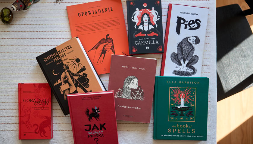 <p>Książki ilustrowane przez Aleksandrę Czudżak&nbsp;</p>