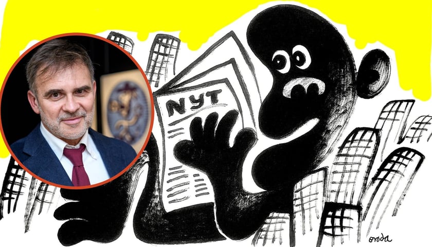 Na zdjęciu głównym King Kong z „The New York Timesem” zapowiadający cykl rysunków dla dziennika, w kółku zdjęcie Tomasz Brody