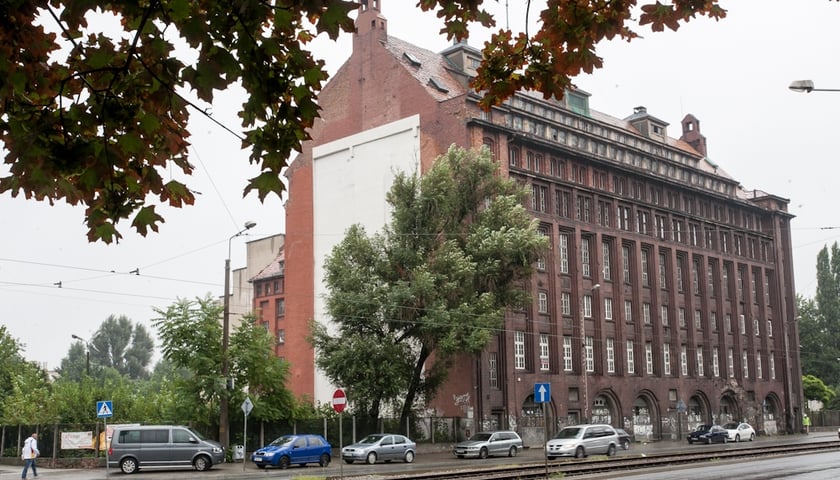 Mamut czeka na inwestora