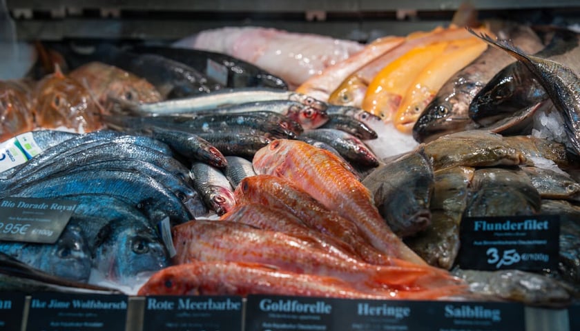 Markthalle Neun