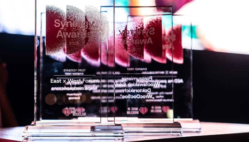 Uczestnicy Gali Synergy Awards 2026.
