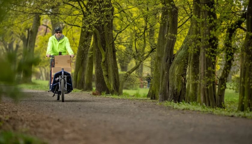 Elektryczne rowery cargo mogą służyć przewożeniu między innymi paczek czy dostaw jedzenia
