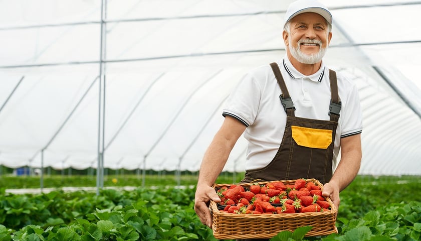 Wystarczy dłużej pracować żeby nie zapłacić podatku dochodowego