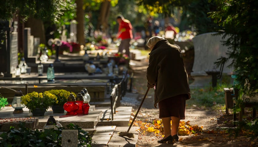 Starsza kobieta grabi liście koło nagrobka na cmentarzu
