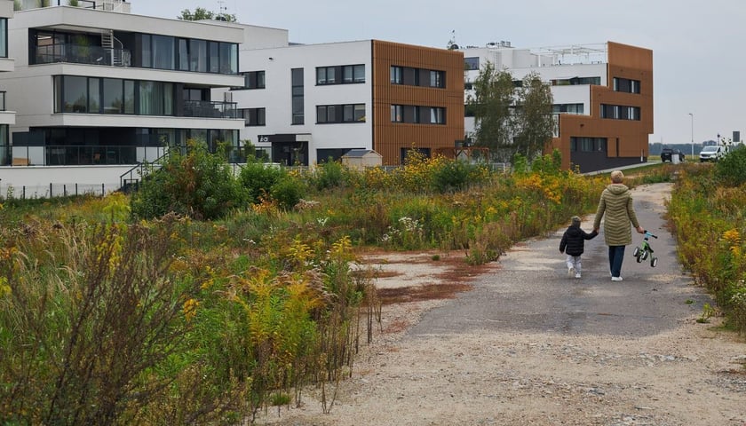 Na zdjęciu domy i teren zielony  na Nowych Żernikach