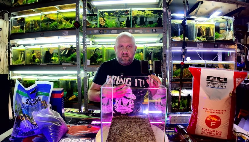 Andrzej Szklary, Szopens Shrimps