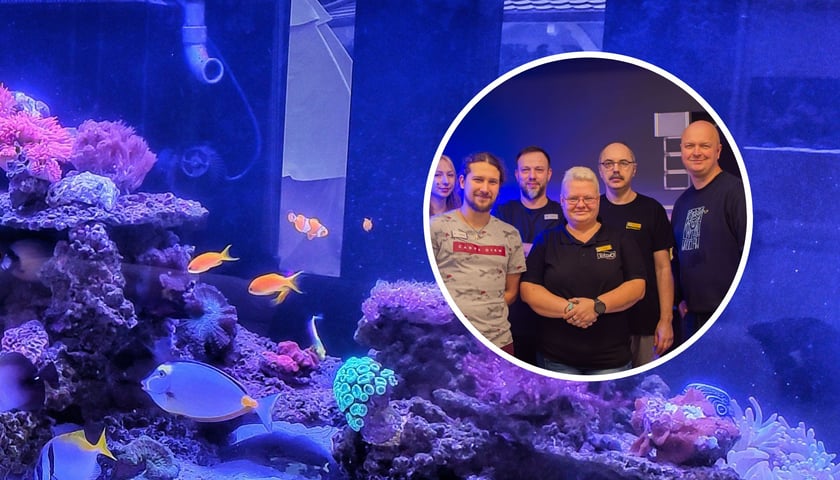 Akwarium morskie, kawałek rafy koralowej, ryby. W kółku kobiety i mężczyźni, pracownicy Trzmiela we Wrocławiu