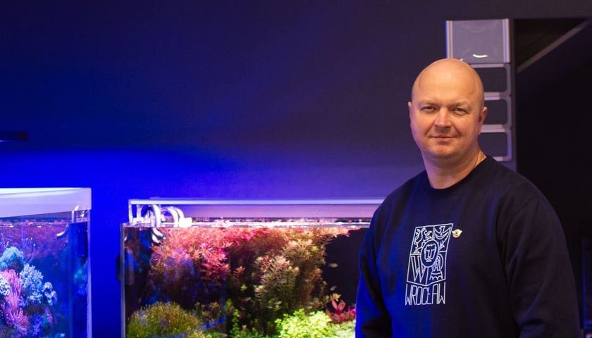 Aquadesigner Michał Czerwiński