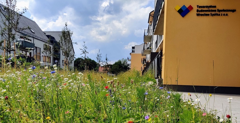 153 nowe mieszkania na wynajem od TBS Wrocław